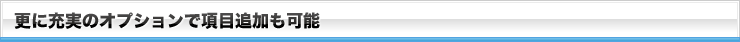 更に充実のオプションで項目追加も可能