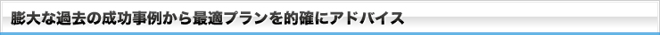 膨大な過去の成功事例から最適プランを的確にアドバイス